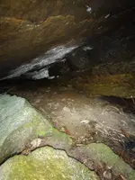 IMG_20220727_181248831.webp