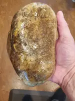 20220728_180937.webp