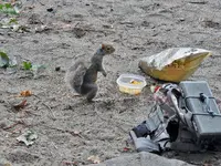 DSCN7640.webp
