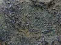 9363F082-B255-4D18-8EBB-881B1B17E718.webp