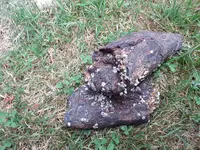 20220803_092718.webp