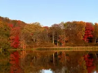 Fall0802.webp