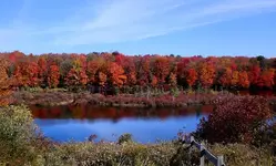 Fall0801.webp