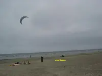 windy 014.webp