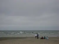 windy 017.webp