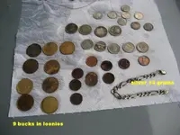loonies & geese 001.webp