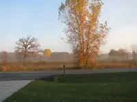 front yard.webp