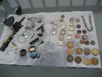 loonies & geese 004.webp