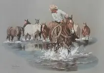 creek crossing.webp