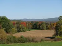 fall3.webp