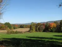 fall4.webp
