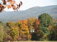 fall5.webp