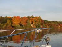 fall8.webp