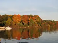 fall9.webp