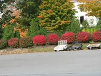 fall12.webp