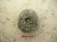 What is it.webp