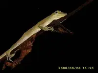 DSCI0266.webp