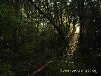 DSCI0272.webp