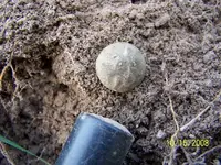 0ct finds 006.webp