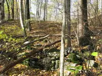 2ndhunt1stsite102687V 003.webp