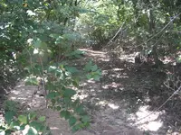 G2 165.webp