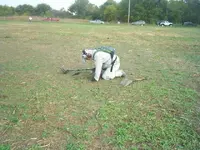 S3012602.webp