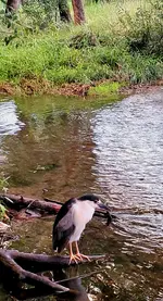 20220806_200628.webp