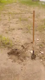 Hpenny hole 1.webp
