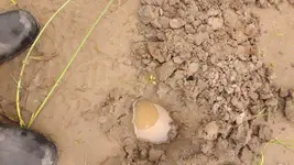Hpenny hole 2.webp