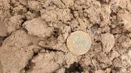 Hpenny hole 3.webp