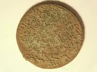 Hpenny raw rev.webp