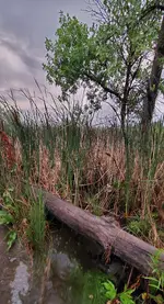 20220807_200753.webp
