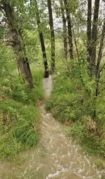 20220807_195305.webp