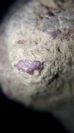 20220809_083614.webp