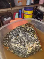 20220811_204232.webp