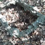 20220814_093645.webp