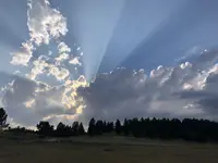 Sunburst.webp