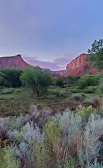 20220815_062241.webp