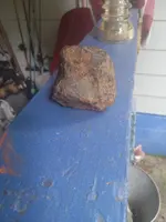 20220817_112631.webp