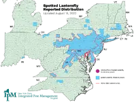 SLF-reported-distribution-8-18-2022.webp