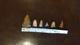 1661215701022423753349533874689.webp