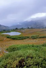 20220822_180344.webp