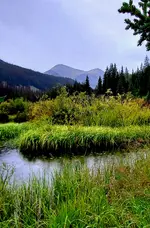 20220822_181935.webp