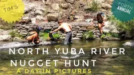 Nugget Hunt 2022.webp