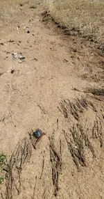20220824_150849.webp
