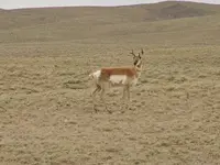 utah GR 3.webp