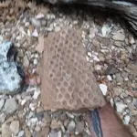 20220818_183005.webp