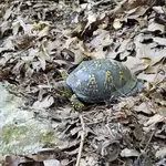 20220827_082631.webp