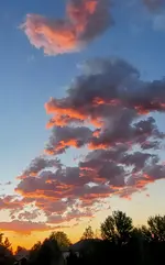 20220831_062536.webp