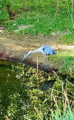 20220831_085210.webp